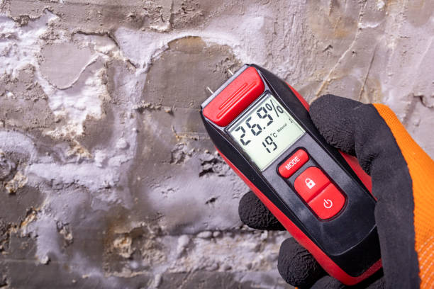 Best Home Mold Removal  in Eastland, TX