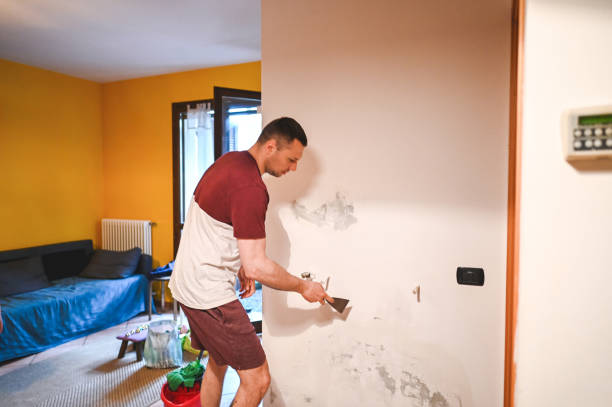 Best Office Mold Removal Services  in Eastland, TX