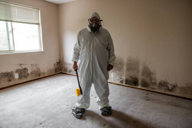 Best Local Mold Removal Service  in Eastland, TX